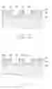 Fig. 02 - Method for reducing reactive ion etch lag in low K dielectric etching