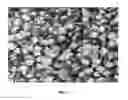 Fig. 04 - Bipolar plate for fuel cell having controlled structure of carbon materials and method of manufacturing the same