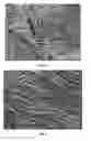 Fig. 06 - Bipolar plate for fuel cell having controlled structure of carbon materials and method of manufacturing the same