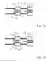Fig. 08 - Fuel cell stack seal structure and production method therefor