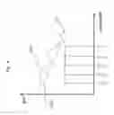 Fig. 07 - Optical amplifier