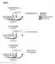 Fig. 03 - Hybrid Automatic Repeat Request Acknowledgment Feedback Using Periodic and Aperiodic Physical Uplink Control Channel Resources