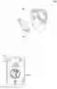 Fig. 01 - Media agnostic content obfuscation