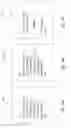 Fig. 07 - Media agnostic content obfuscation