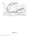 Fig. 03 - Scanner and scanner data generating method