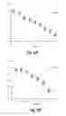 Fig. 07 - Extrapolating lighting conditions from a single digital image