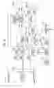 Fig. 32 - Image processing apparatus and method