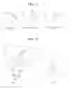 Fig. 13 - Multi-viewpoint video encoding/decoding method