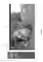 Fig. 02 - Flexible Video Platform with Optional Advertising
