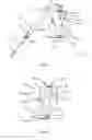 Fig. 02 - Dummy head that captures binaural sound