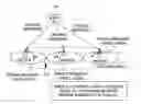 Fig. 01 - Paging in a wireless network