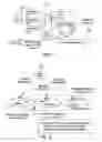 Fig. 02 - Paging in a wireless network