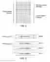 Fig. 04 - Paging in a wireless network