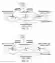 Fig. 06 - Paging in a wireless network