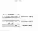 Fig. 22 - System and method of identifying random access response