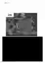 Fig. 09 - POPULATION OF METAL OXIDE NANOSHEETS, PREPARATION METHOD THEREOF, AND ELECTRICAL CONDUCTOR AND ELECTRONIC DEVICE INCLUDING THE SAME
