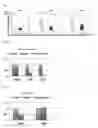 Fig. 12 - Method for producing chimeric animal