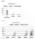Fig. 13 - Method for producing chimeric animal
