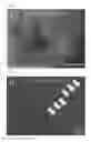Fig. 15 - Method for producing chimeric animal