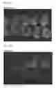 Fig. 29 - Method for producing chimeric animal