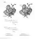 Fig. 02 - Use of Strobilurin Type Compounds for Combating Phytopathogenic Fungi Resistant to QO Inhibitors