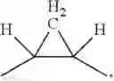 Fig. 04 - METHOD FOR THE PROTECTION OF TREES
