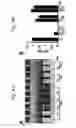 Fig. 09 - BILE ACID COMPOSITIONS AND METHODS OF USE