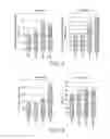 Fig. 09 - Nutritional composition and infant formula for promoting de novo myelination