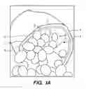 Fig. 02 - System and method for processing agricultural products