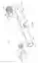 Fig. 11 - Cigar tube