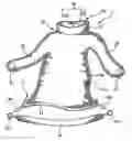 Fig. 01 - CHILD GARMENT