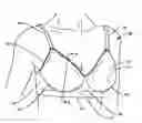 Fig. 01 - Upper and lower torso garments having an improved band