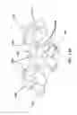 Fig. 12 - Protective headgear and shoulder pad apparatus and methods