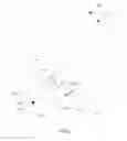 Fig. 02 - TOESIES