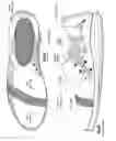 Fig. 16 - Athletic shoe outsole with grip and glide tread pattern