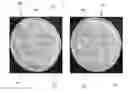Fig. 01 - COSMETIC PAD AND METHOD FOR ITS MANUFACTURE