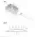 Fig. 02 - HAIRBRUSH