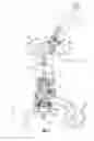 Fig. 02 - Machine of the piston type for dispensing coffee or other brewed beverages