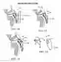 Fig. 07 - Devices, methods and systems for acquiring medical diagnostic information and provision of telehealth services