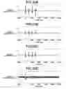 Fig. 21 - PHOTOACOUSTIC APPARATUS, CODING APPARATUS, AND INFORMATION PROCESSING APPARATUS