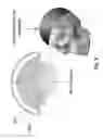 Fig. 04 - Device and method for whole-mind cognitive interface