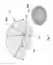 Fig. 08 - Device and method for whole-mind cognitive interface