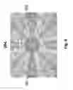 Fig. 09 - Device and method for whole-mind cognitive interface