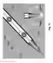 Fig. 12 - Device and method for whole-mind cognitive interface