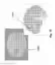 Fig. 17 - Device and method for whole-mind cognitive interface