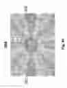 Fig. 43 - Device and method for whole-mind cognitive interface