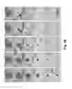 Fig. 49 - Device and method for whole-mind cognitive interface