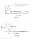 Fig. 06 - Systems and methods for accelerated MRI scan