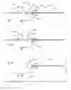 Fig. 06 - MEDICAL DEVICES AND METHODS OF USE