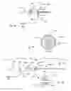 Fig. 07 - MEDICAL DEVICES AND METHODS OF USE